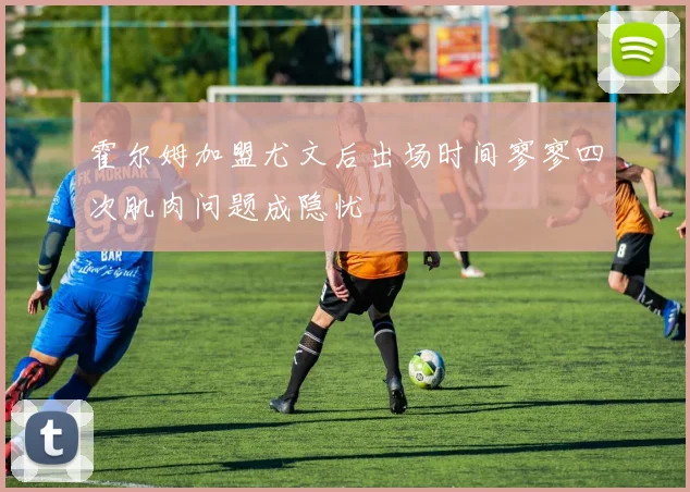 霍尔姆加盟尤文后出场时间寥寥四次肌肉问题成隐忧